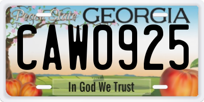 GA license plate CAW0925