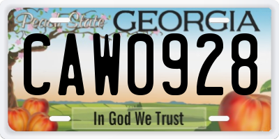 GA license plate CAW0928