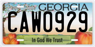 GA license plate CAW0929