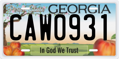 GA license plate CAW0931