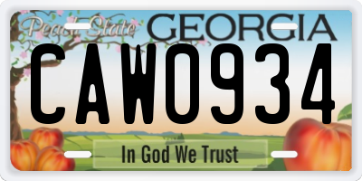 GA license plate CAW0934