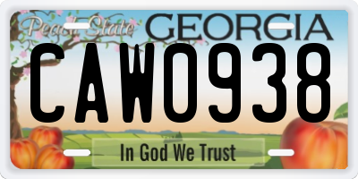 GA license plate CAW0938