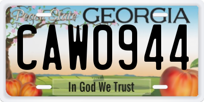 GA license plate CAW0944