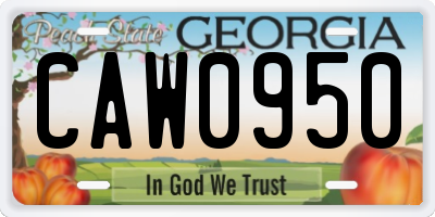 GA license plate CAW0950