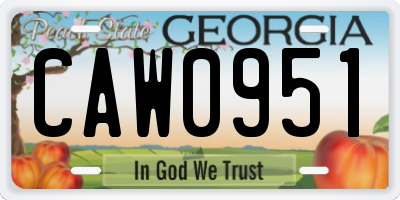 GA license plate CAW0951