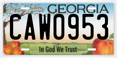 GA license plate CAW0953