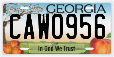 GA license plate CAW0956