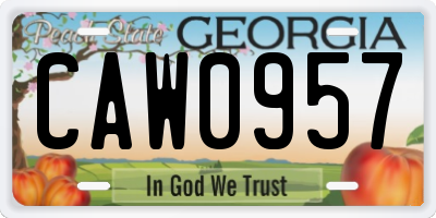 GA license plate CAW0957