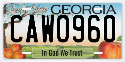 GA license plate CAW0960