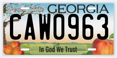 GA license plate CAW0963