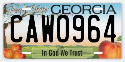 GA license plate CAW0964