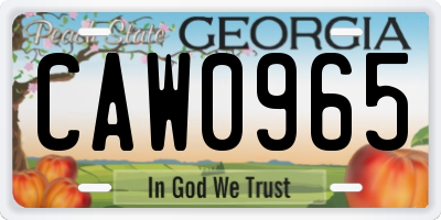 GA license plate CAW0965