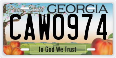 GA license plate CAW0974