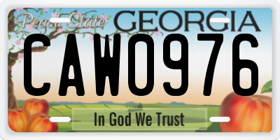 GA license plate CAW0976