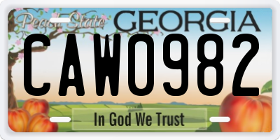 GA license plate CAW0982