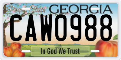 GA license plate CAW0988