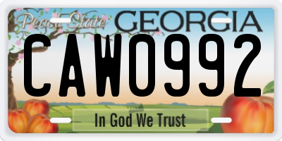 GA license plate CAW0992