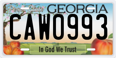 GA license plate CAW0993