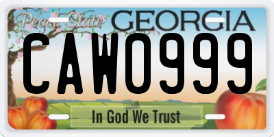 GA license plate CAW0999