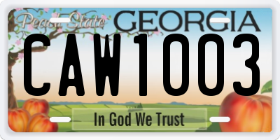 GA license plate CAW1003