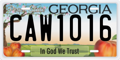 GA license plate CAW1016