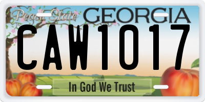 GA license plate CAW1017