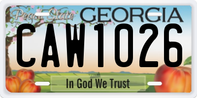 GA license plate CAW1026
