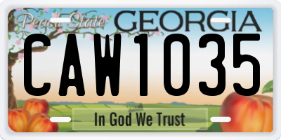 GA license plate CAW1035