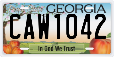 GA license plate CAW1042