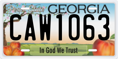 GA license plate CAW1063