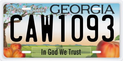 GA license plate CAW1093