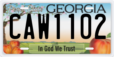 GA license plate CAW1102