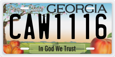 GA license plate CAW1116