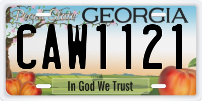 GA license plate CAW1121