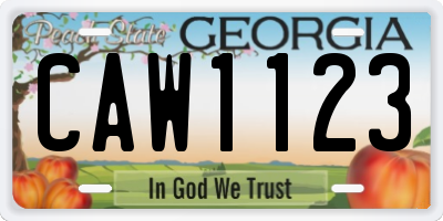 GA license plate CAW1123
