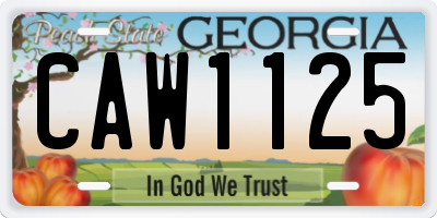 GA license plate CAW1125