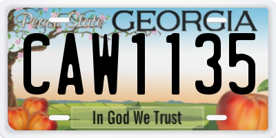 GA license plate CAW1135