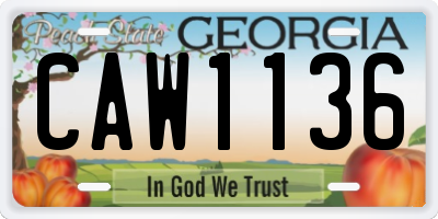 GA license plate CAW1136