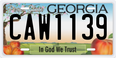 GA license plate CAW1139