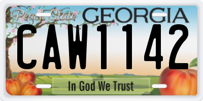 GA license plate CAW1142