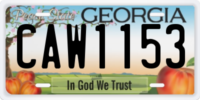 GA license plate CAW1153