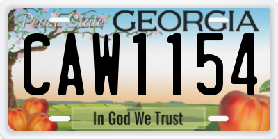 GA license plate CAW1154