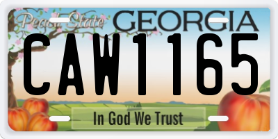 GA license plate CAW1165
