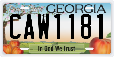 GA license plate CAW1181