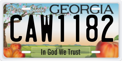 GA license plate CAW1182