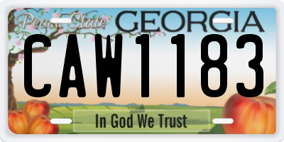 GA license plate CAW1183