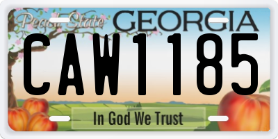 GA license plate CAW1185
