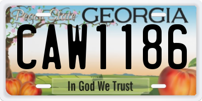 GA license plate CAW1186