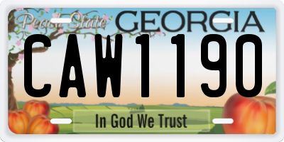 GA license plate CAW1190