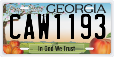 GA license plate CAW1193